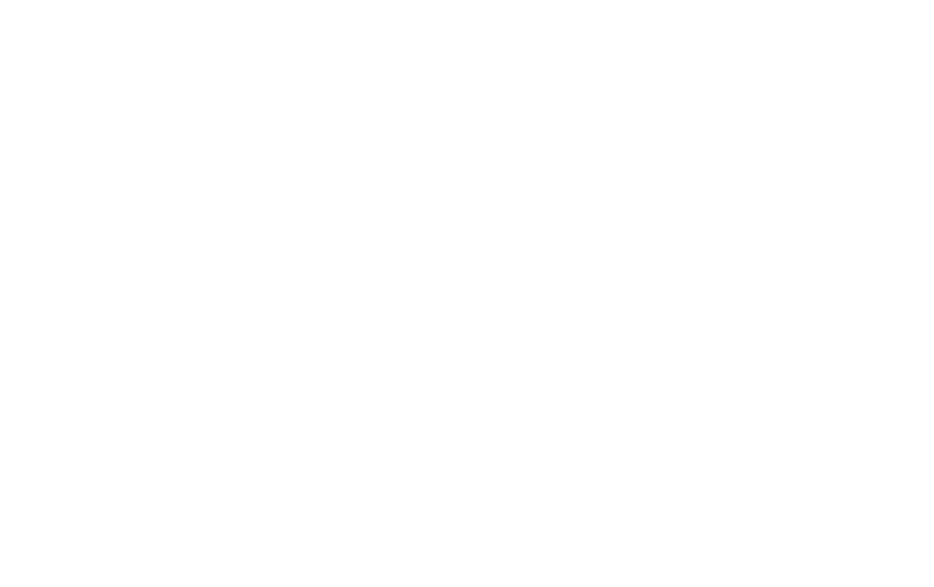 ALPS Consultancy Logo in White with ALPS Outline and text